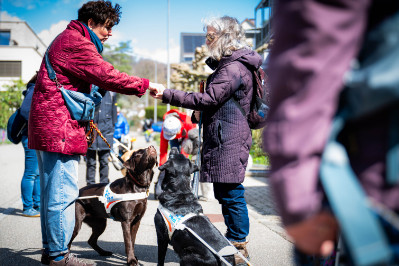 Zwei Führhundehalterinnen begrüssen sich. Link: Über uns