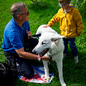 Botschafterhund lässt sich streicheln.