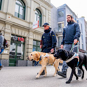 Zwei Blindenhundeteams in den Gassen Badens
