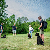 Junghundetraining in Gruppe auf einer Wiese