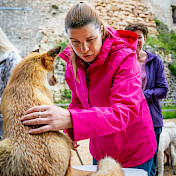 Jägerevent: Ein ausgestopfter Fuchs wird ertastet.