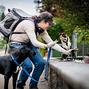 Vertrauenshundehalterin unterwegs mit Vertrauenshund und Katze