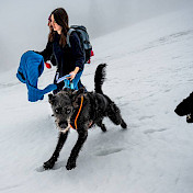 im Schnee