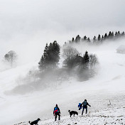 Neblige Landschaft, die sich aufhellt