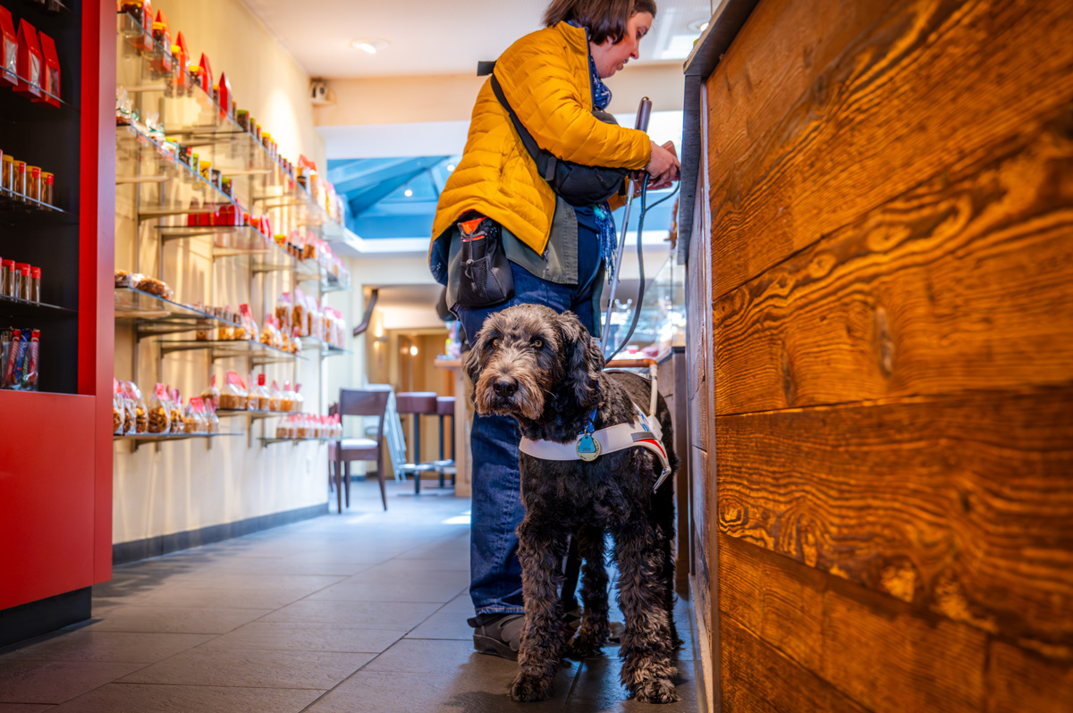Blindenhund Icaro unterwegs mit seiner Halterin