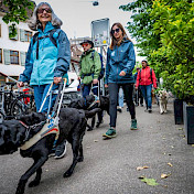 Blindenhundeteams unterwegs mit Mitarbeitenden unserer Schule