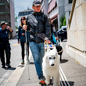 Führhundehalter unterwegs in der Stadt