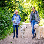 Blindenhundeteam mit Junghundetrainerin und Junghund unterwegs im Wald