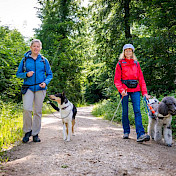 Blindenhundeteam mit Junghundetrainerin und Junghund unterwegs im Wald
