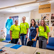 Stand der Junghunde