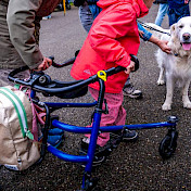 Begegnungen mit unseren Hunden