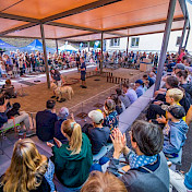 Viele Gäste besuchen die Vorführung der Kleinsten der Blindenhundeschule.