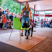 Instruktorin Anja zeigt, wie der Hund auf einen freien Stuhl hinzuweisen lernt.