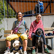 Junghund- und Vertrauenshundeteam