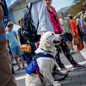 Vertrauenshund Alwin im Einsatz
