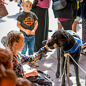 Botschafterhund Loki im Einsatz