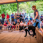 Anja mit Nuvi, Blindenhund in Ausbildung, bei der Vorführung