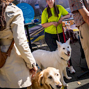 Gäste und Hunde geniessen das Fest.
