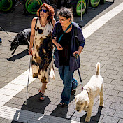 Frühere Führhundehalterin Esther mit sehender Begleitung auf dem Festgelände